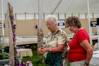 Taunton Flower Show 2014 014