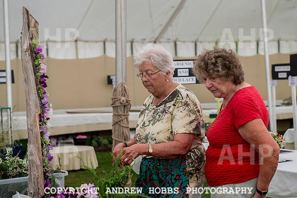 Taunton Flower Show 2014 014