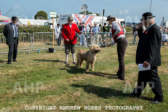 Dunster Country Fair 2014 014