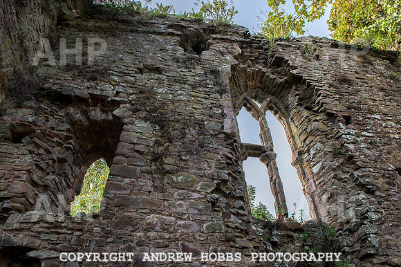 Tiverton Castle 011