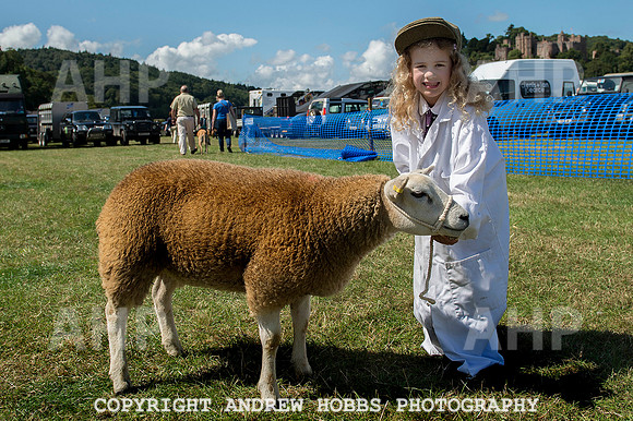 Dunster Show 2014 026