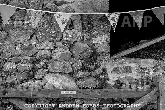 Wambrook Flower Show Centenary 084