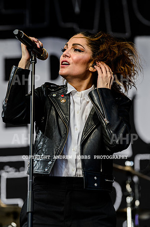 The Interrupters - Beautiful Days 2022-9856