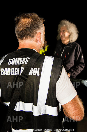 Brian May Badger Cull 2014 005