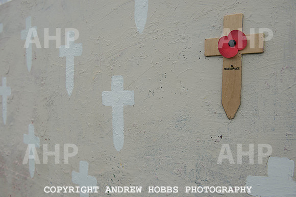 Taunton Flower Show 2014 029