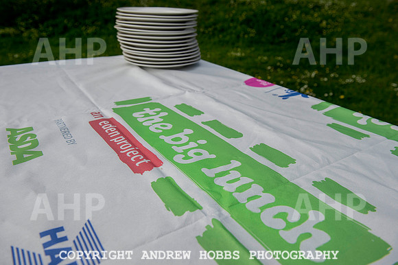 The Big Lunch 2014 014