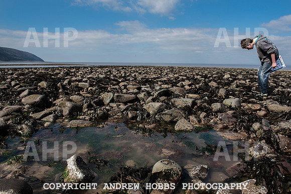 Somerset's Lowest Tide 200 years 030
