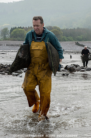 Porlock Oyster Beds 019