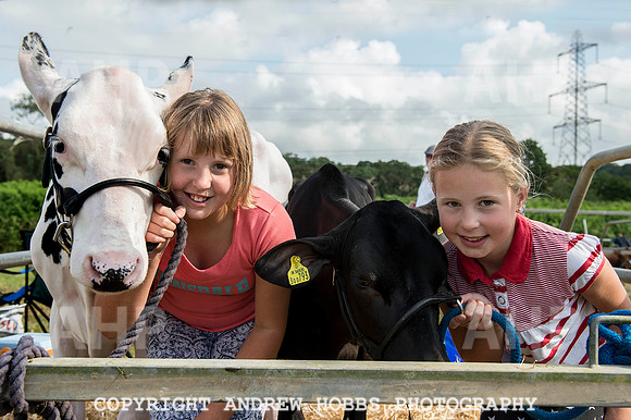 North Devon Show 2014 001