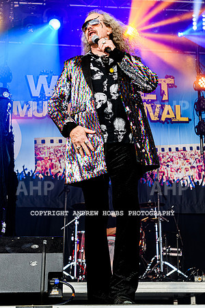 Dr and the Medics - Watchet Music Festival 2022-7144