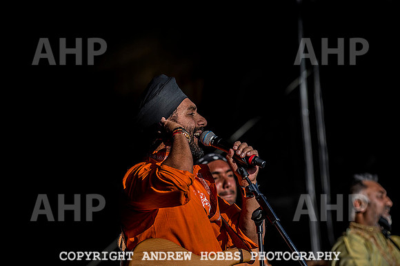Watchet Music Festival_7859