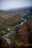 Exmoor