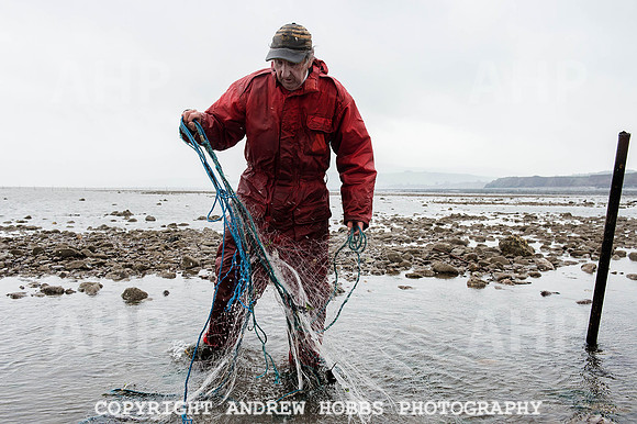 Stake-net Fishing Watchet 2014 005