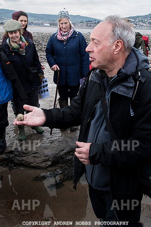 Somerset's Lowest Tide 200 years 013