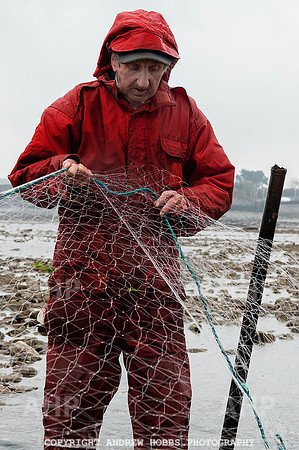 Stake-net Fishing Watchet 2014 017