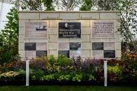 Taunton Flower Show 2014 015