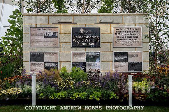 Taunton Flower Show 2014 015