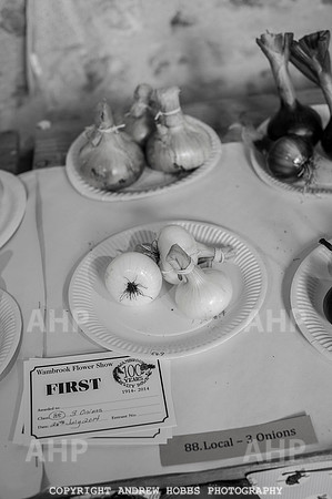 Wambrook Flower Show Centenary 165
