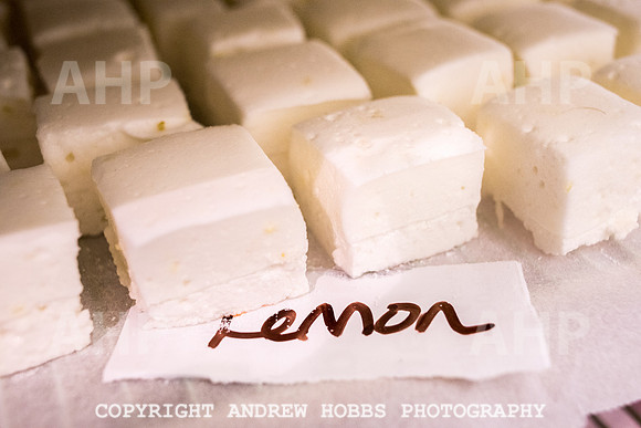 Grown Up Marshmallows - Janet Thompson-4827