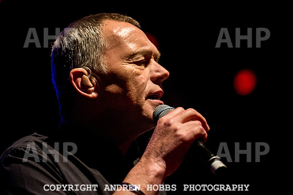 Watchet Festival 2016-5784