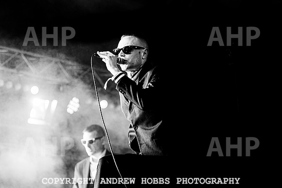 Death of Guitar Pop - Watchet Music Festival 2022-3480