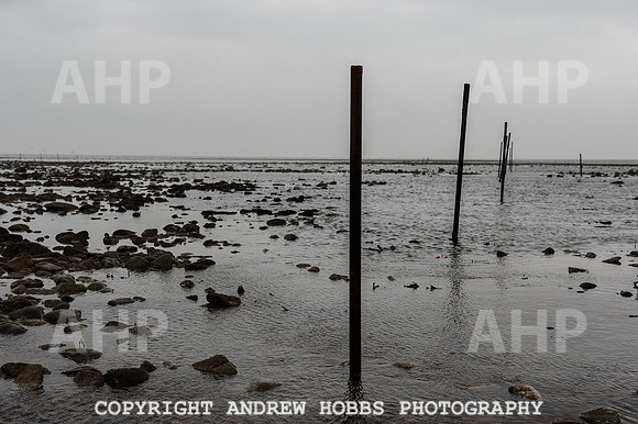 Stake-net Fishing Watchet 2014 003