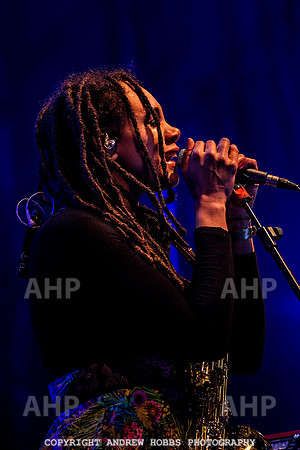 Watchet Music Festival_8233
