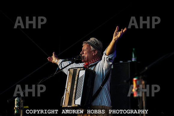 Watchet Music Festival_8420