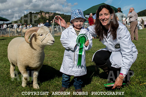 Dunster Show 2014 002
