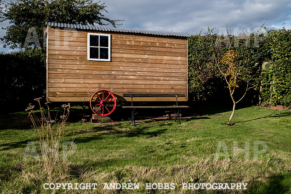 Vellacott Garden 2016-3575
