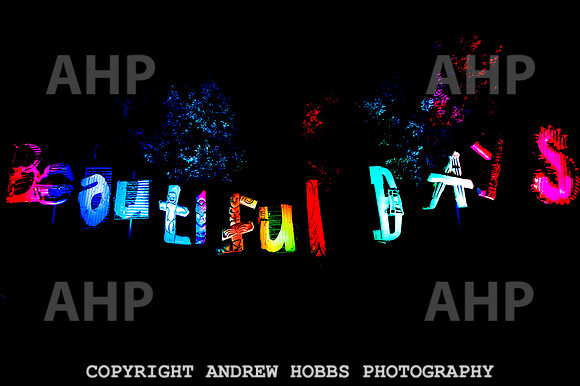 Beautiful Days 2022-8849