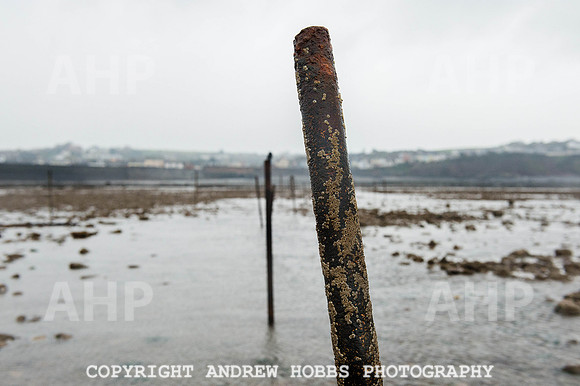 Stake-net Fishing Watchet 2014 019