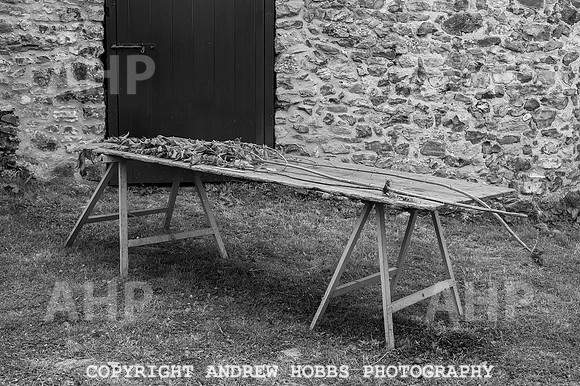 Wambrook Flower Show Centenary 145