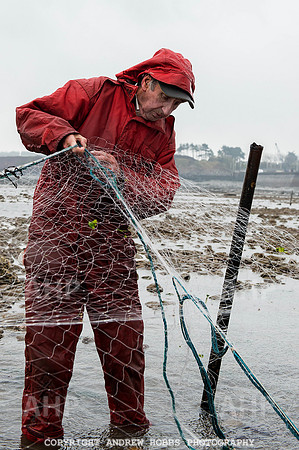 Stake-net Fishing Watchet 2014 018