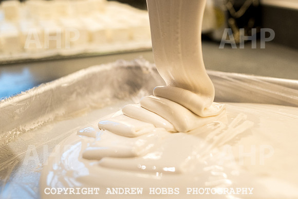 Grown Up Marshmallows - Janet Thompson-4995