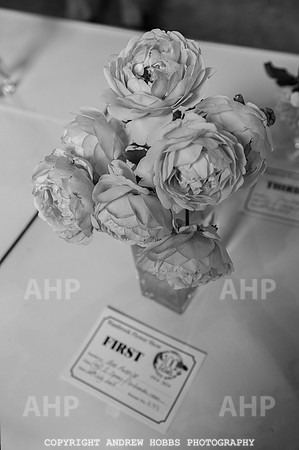Wambrook Flower Show Centenary 202