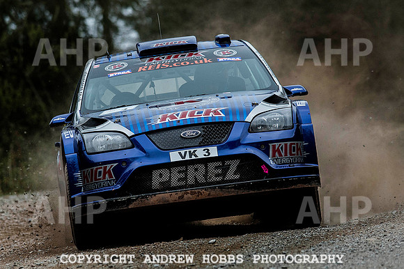Somerset Stages Rally Chargot Woods_3812