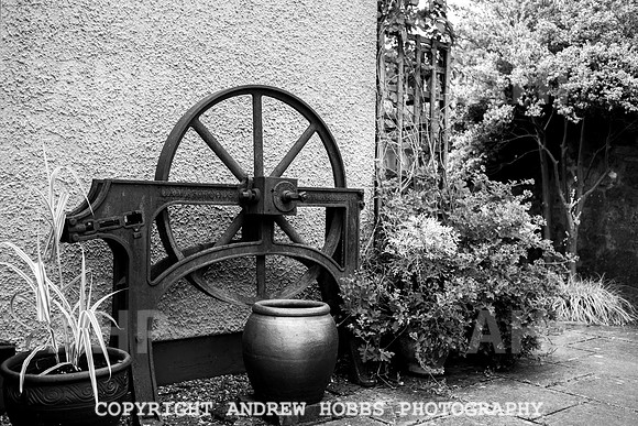 Vellacott Garden 2016-3658