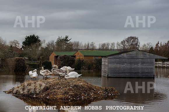Flooding in Somerset, UK