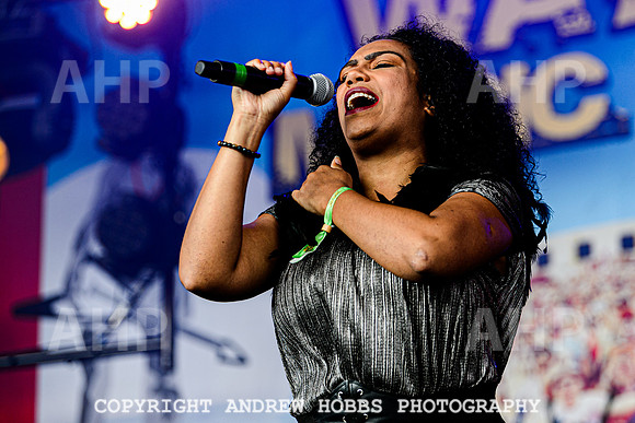 Dr and the Medics - Watchet Music Festival 2022-2917