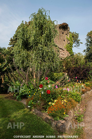 Tiverton Castle 017