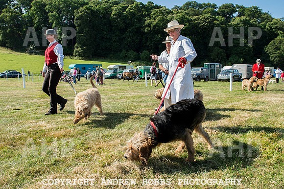 Dunster Country Fair 2014 001