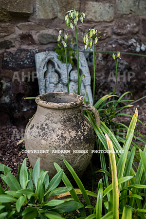 Vellacott Garden 2016-3607