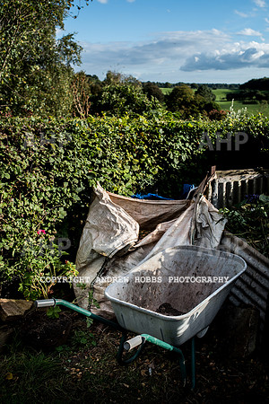 Vellacott Garden 2016-3588
