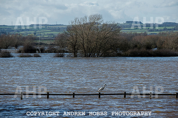 Flooding in Somerset, UK