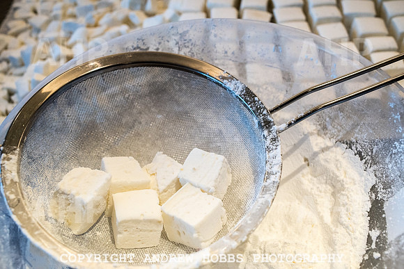 Grown Up Marshmallows - Janet Thompson-4892