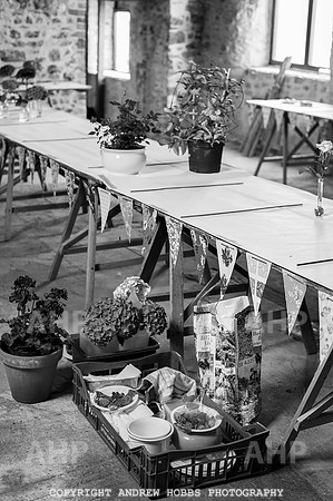 Wambrook Flower Show Centenary 116