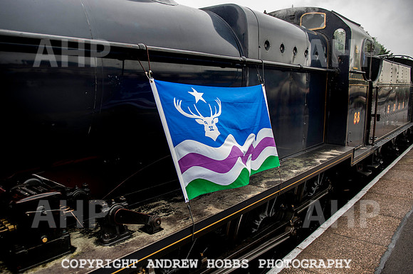 Exmoor Flag001