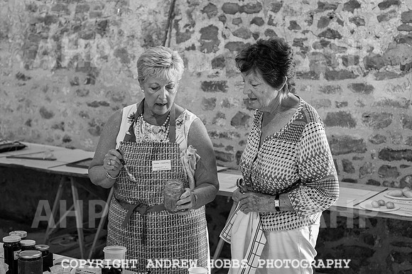 Wambrook Flower Show Centenary 179