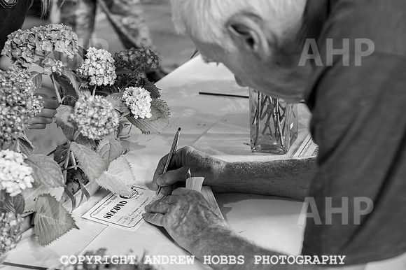 Wambrook Flower Show Centenary 176